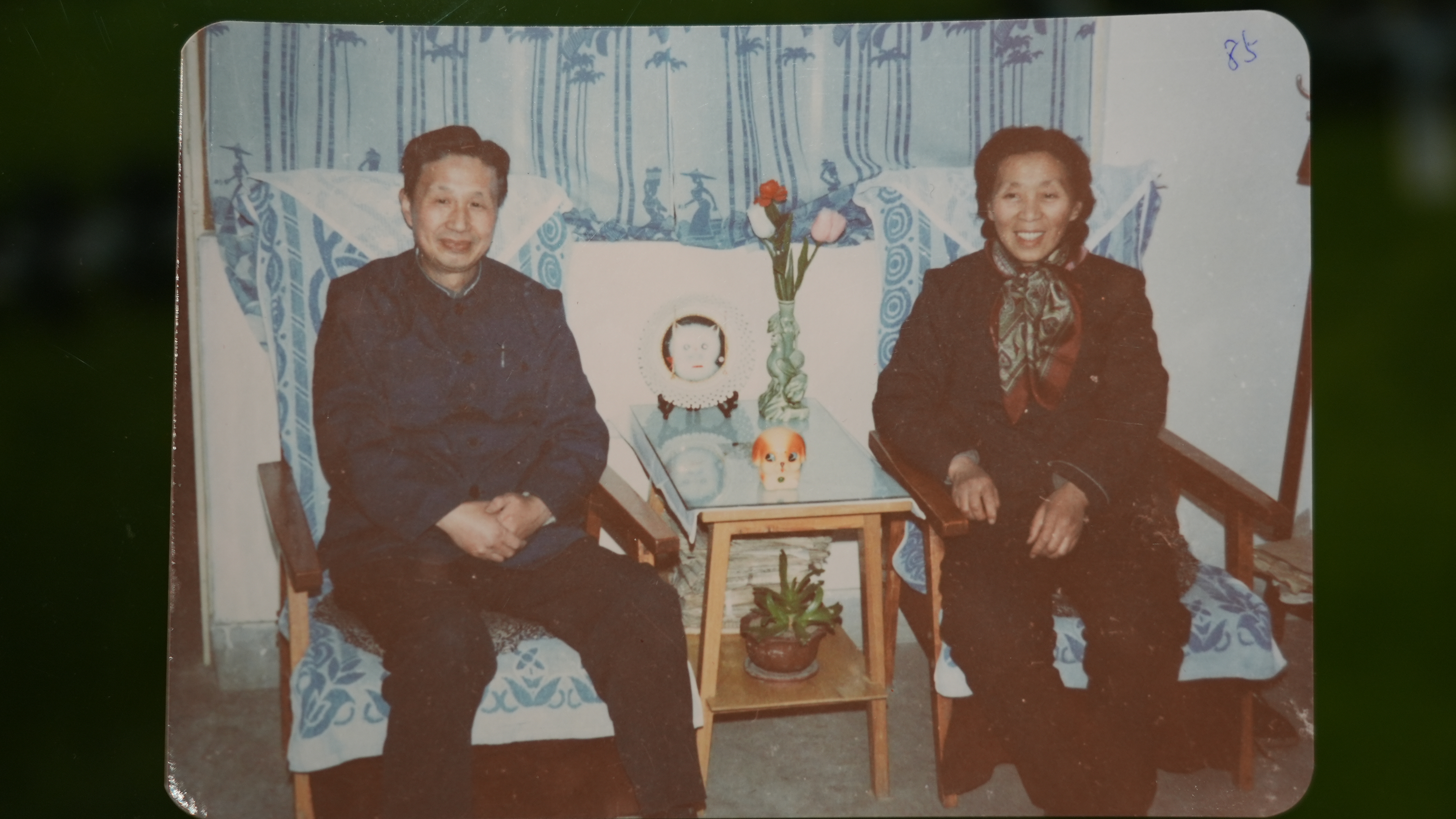 体育投注app